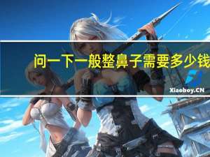 问一下一般整鼻子需要多少钱，整鼻子需要多少钱