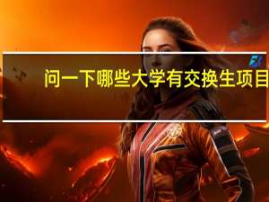 问一下哪些大学有交换生项目