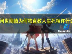 问世间情为何物直教人生死相许什么意思