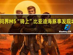 问界M5“骑上”比亚迪海豚 事发现场曝光：女司机倒车一脚油门太猛