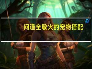 问道全敏火的宠物搭配