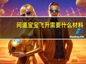 问道宝宝飞升需要什么材料