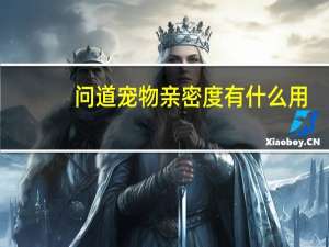 问道宠物亲密度有什么用