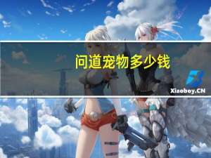 问道宠物多少钱