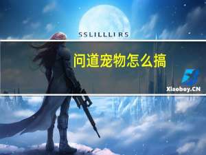 问道宠物怎么搞