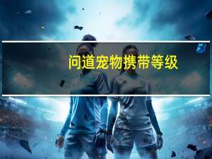 问道宠物携带等级