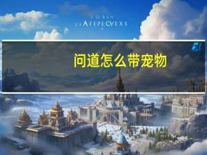 问道怎么带宠物