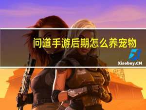 问道手游后期怎么养宠物