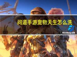 问道手游宠物天生怎么洗