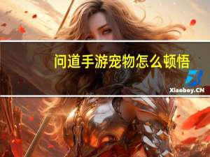 问道手游宠物怎么顿悟