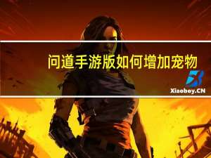问道手游版如何增加宠物