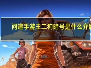 问道手游王二狗暗号是什么介绍_问道手游王二狗暗号是什么是什么