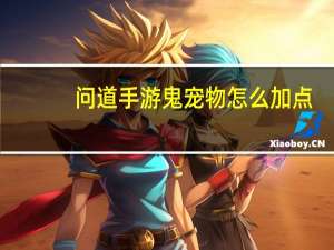 问道手游鬼宠物怎么加点