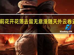 闲看庭前花开花落去留无意漫随天外云卷云舒什么意思