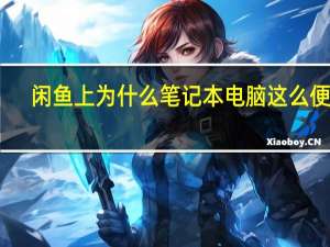闲鱼上为什么笔记本电脑这么便宜