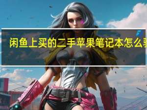 闲鱼上买的二手苹果笔记本怎么验货