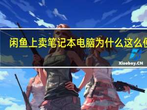 闲鱼上卖笔记本电脑为什么这么便宜