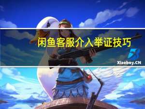 闲鱼客服介入举证技巧