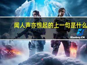 闻人声亦惊起的上一句是什么