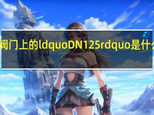 阀门上的ldquo DN125 rdquo是什么意思？