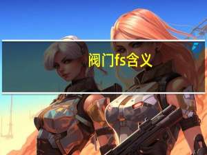 阀门fs含义