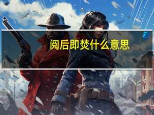 阅后即焚什么意思