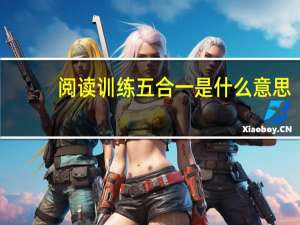 阅读训练五合一是什么意思