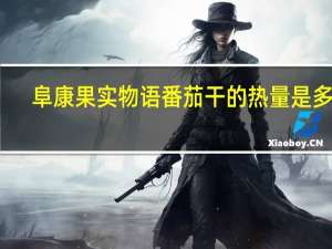 阜康 果实物语 番茄干的热量是多少