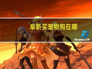 阜新买宠物狗在哪