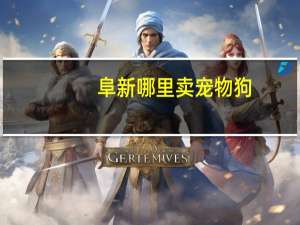 阜新哪里卖宠物狗