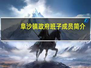 阜沙镇政府班子成员简介（阜沙镇）