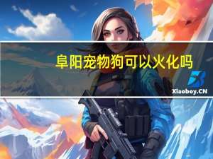 阜阳宠物狗可以火化吗