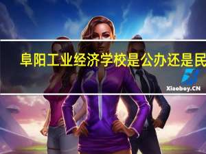 阜阳工业经济学校是公办还是民办
