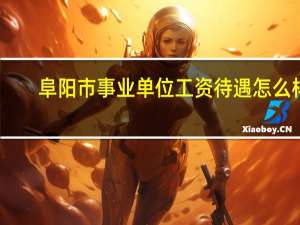 阜阳市事业单位工资待遇怎么样