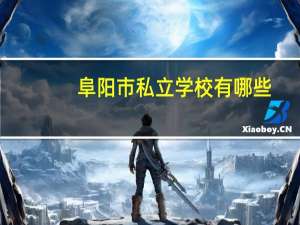 阜阳市私立学校有哪些。