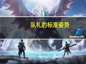 队礼的标准姿势（队礼）