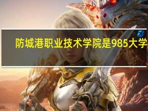 防城港职业技术学院是985大学吗
