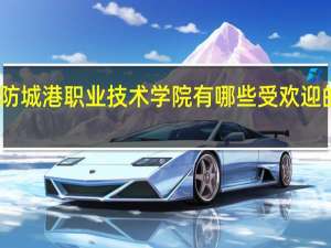 防城港职业技术学院有哪些受欢迎的专业