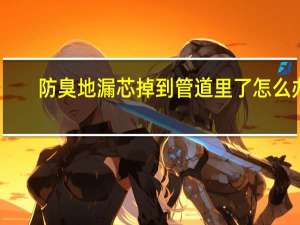 防臭地漏芯掉到管道里了怎么办