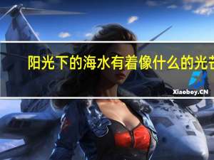 阳光下的海水有着像什么的光芒
