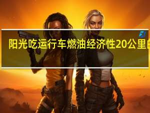 阳光吃运行车 燃油经济性20公里的嗖
