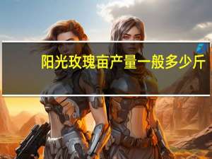 阳光玫瑰亩产量一般多少斤