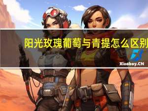 阳光玫瑰葡萄与青提怎么区别