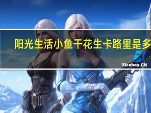 阳光生活 小鱼干花生卡路里是多少