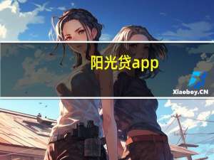 阳光贷app（阳光贷款官网）