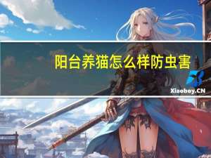 阳台养猫怎么样防虫害