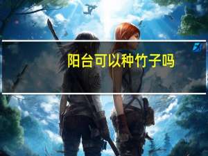 阳台可以种竹子吗