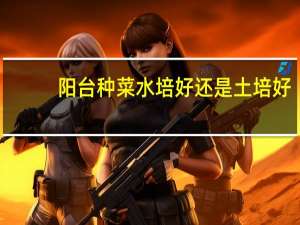 阳台种菜水培好还是土培好