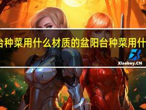 阳台种菜用什么材质的盆 阳台种菜用什么容器好