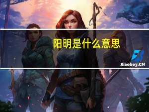 阳明是什么意思